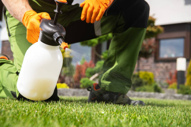 Best Pest Prevention Services  in Myrtle Creek, OR