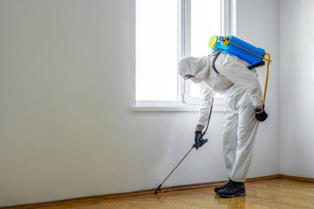 Best Pest Removal Services  in Myrtle Creek, OR