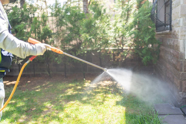 Flea Control Services in Myrtle Creek, OR