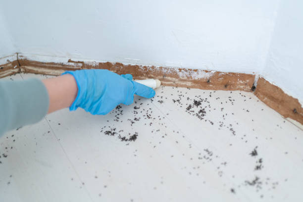 Best Residential Pest Control  in Myrtle Creek, OR